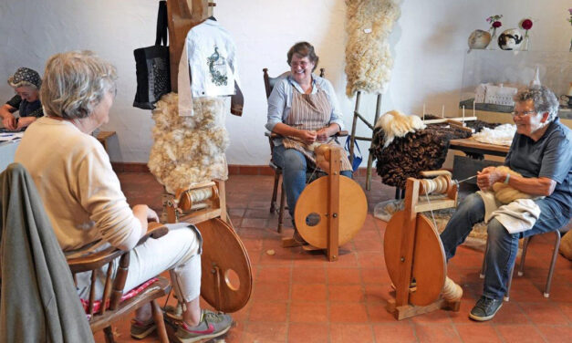 Ontdek wat je allemaal kunt doen met wol bij De Veldschuur