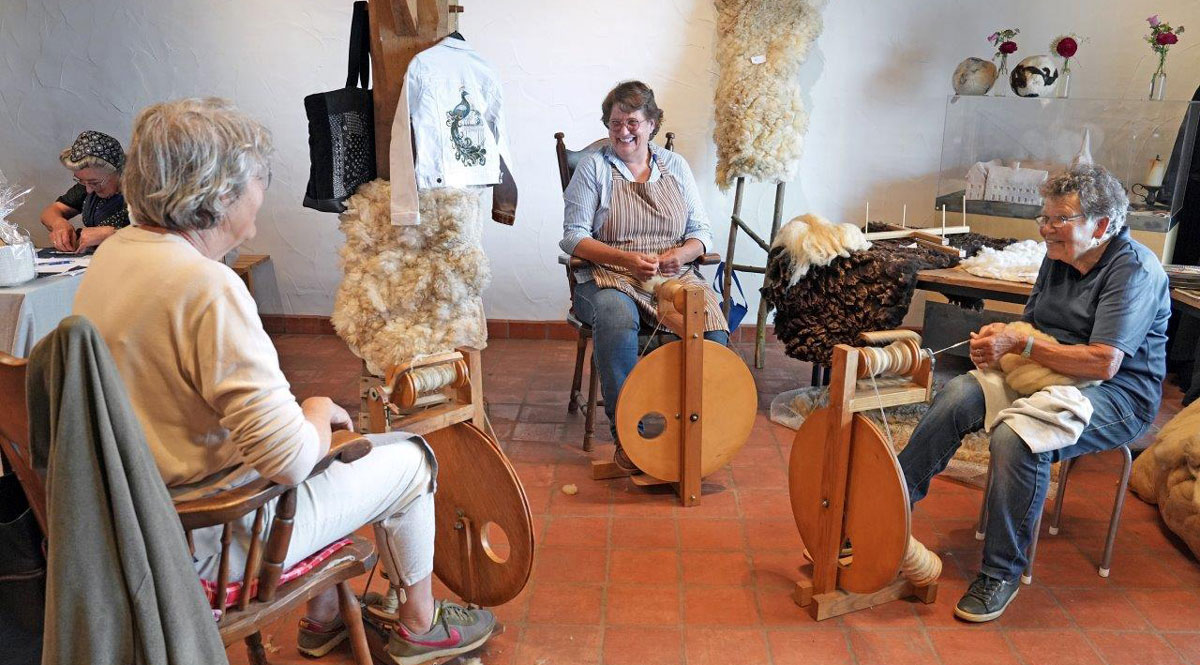 Ontdek wat je allemaal kunt doen met wol bij De Veldschuur