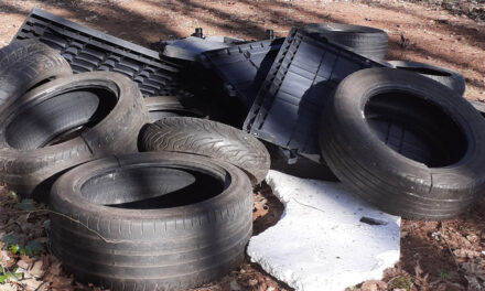 Autobanden gedumpt in Staphorster bos