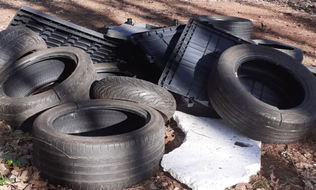 Autobanden gedumpt in Staphorster bos