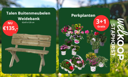 Genieten in de tuin. Welkoop Staphorst