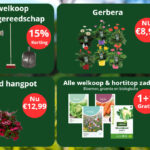 Acties bij Welkoop Staphorst