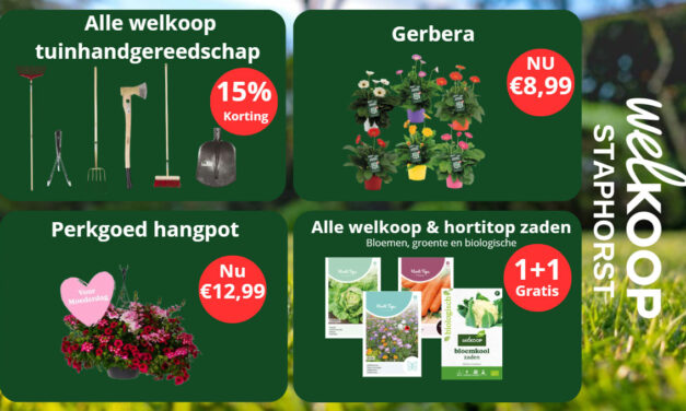 Acties bij Welkoop Staphorst