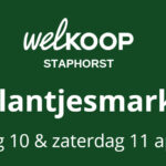 Plantjesmarkt bij Welkoop Staphorst