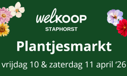 Plantjesmarkt bij Welkoop Staphorst