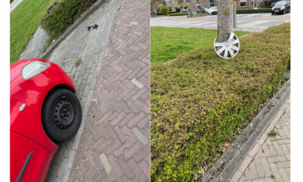 Wie heeft mijn wieldop vernield?