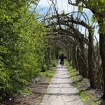 Dit is het Wilgenlaantje van Hans