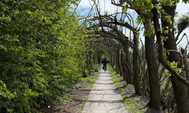 Dit is het Wilgenlaantje van Hans