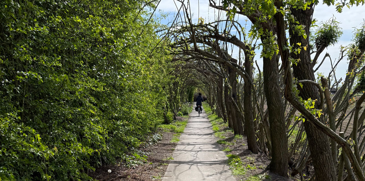 Dit is het Wilgenlaantje van Hans