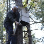 Bosuilen ringen door Natuurbeschermingsvereniging
