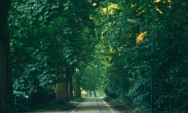 Schitterende fiets- en wandelroutes rond Staphorst, Rouveen en IJhorst