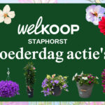 Moederdag bij Welkoop Staphorst