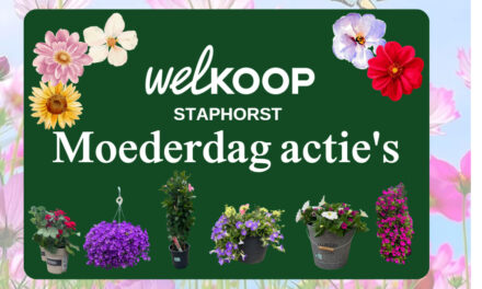 Moederdag bij Welkoop Staphorst (update)