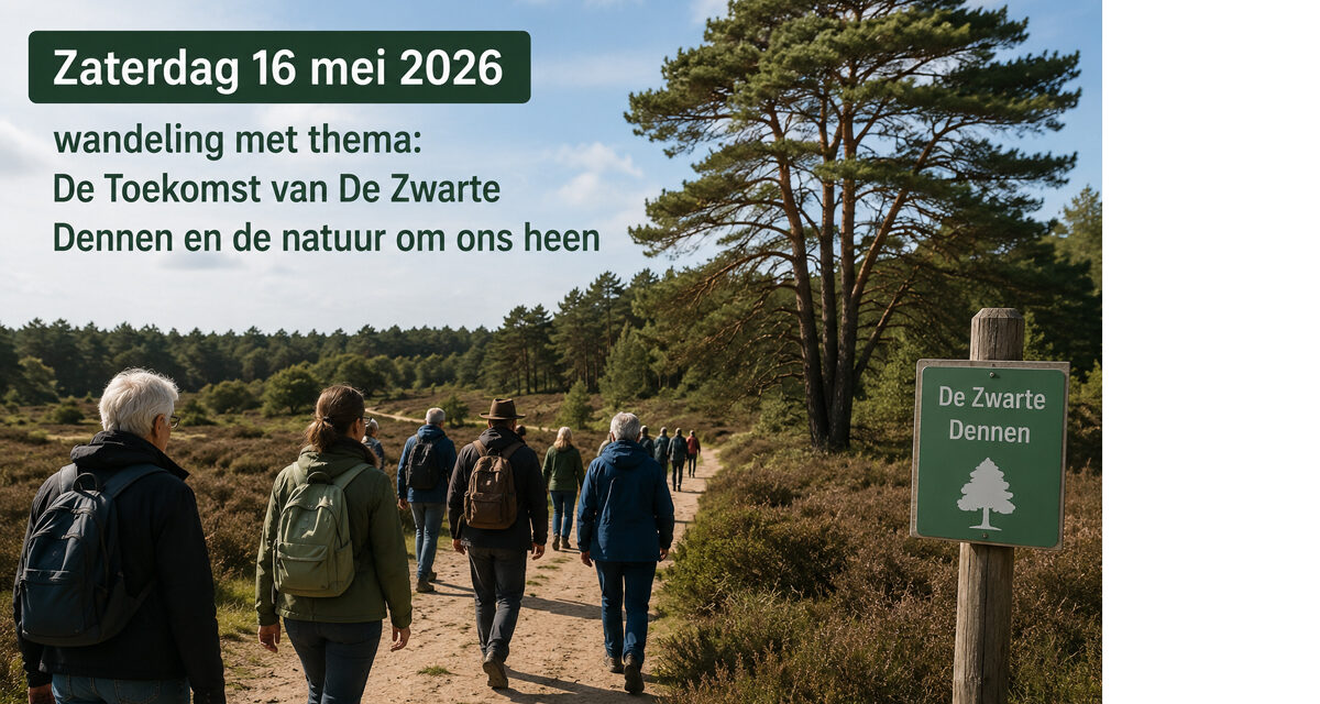 Zaterdag 16 mei 2026 wandeling met thema: De Toekomst van De Zwarte Dennen en de natuur om ons heen