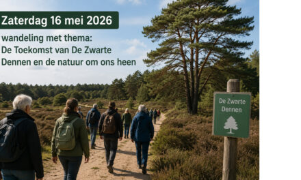 Zaterdag 16 mei 2026 wandeling met thema: De Toekomst van De Zwarte Dennen en de natuur om ons heen