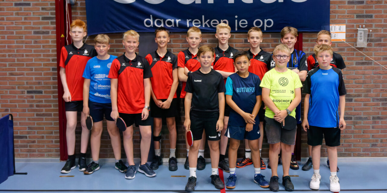 Tafeltennis clubkampioenschappen 2026