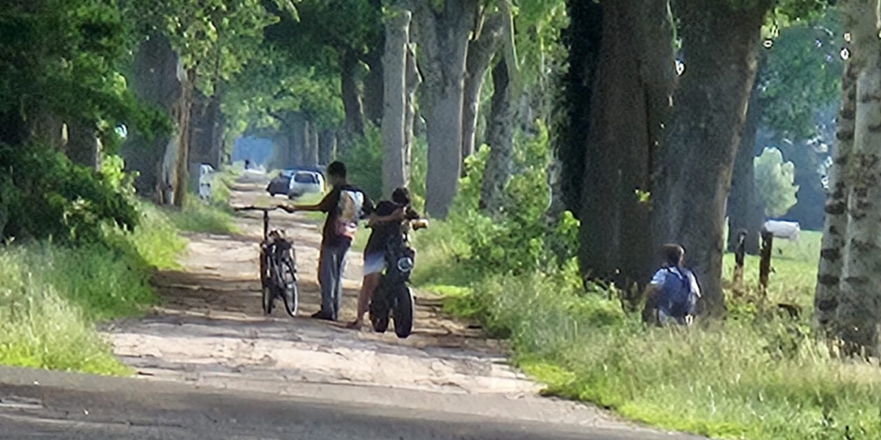 Signalement groente- en fruitweghalers