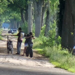 Signalement groente- en fruitweghalers