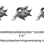 Vogelexcursie in de Eendenkooi ‘Haasjes’