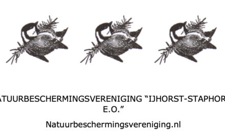 Vogelexcursie in de Eendenkooi ‘Haasjes’