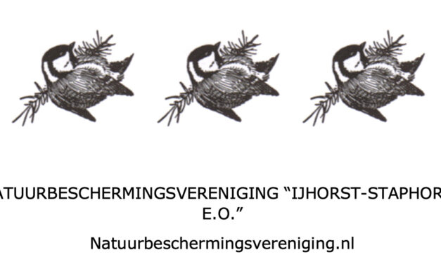 Vogelexcursie in de Eendenkooi ‘Haasjes’