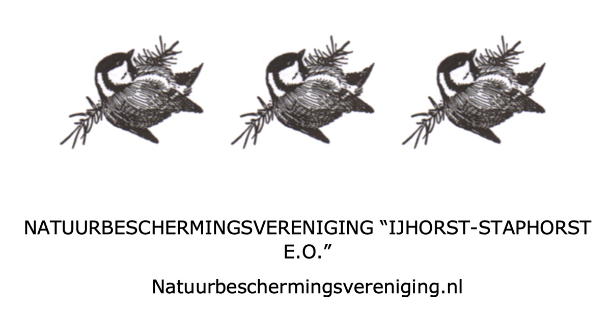 Vogelexcursie in de Eendenkooi ‘Haasjes’