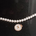 Gevonden aan de Sperwer