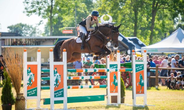 Paardensport, strodorp en kinderactiviteiten bij CH Rouveen
