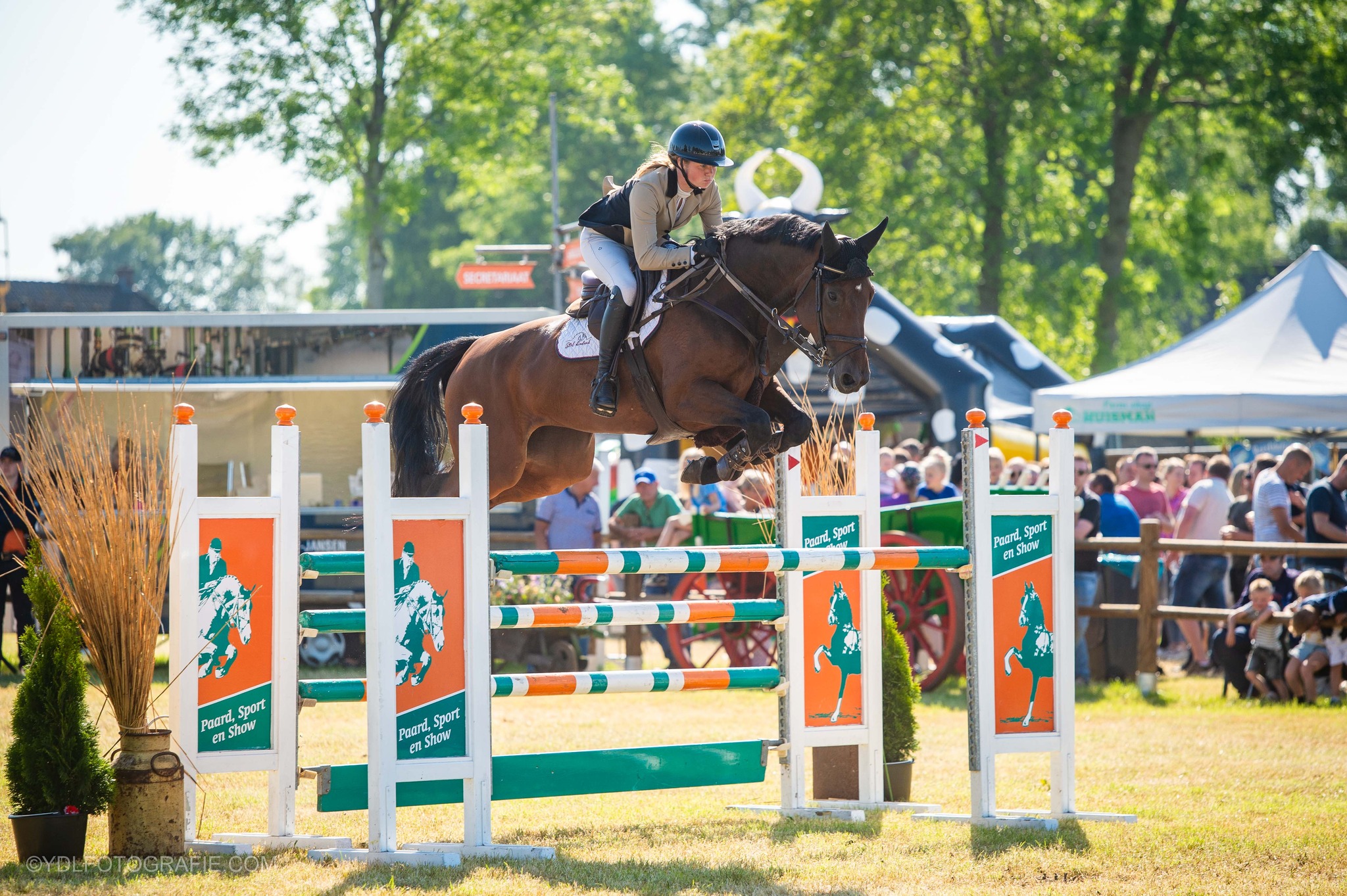 Paardensport, strodorp en kinderactiviteiten bij CH Rouveen