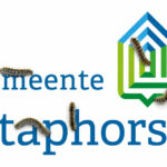 Start verwijdering eikenprocessierupsnesten
