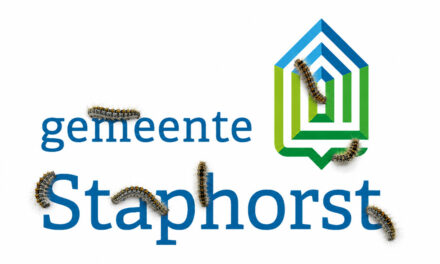 Start verwijdering eikenprocessierupsnesten