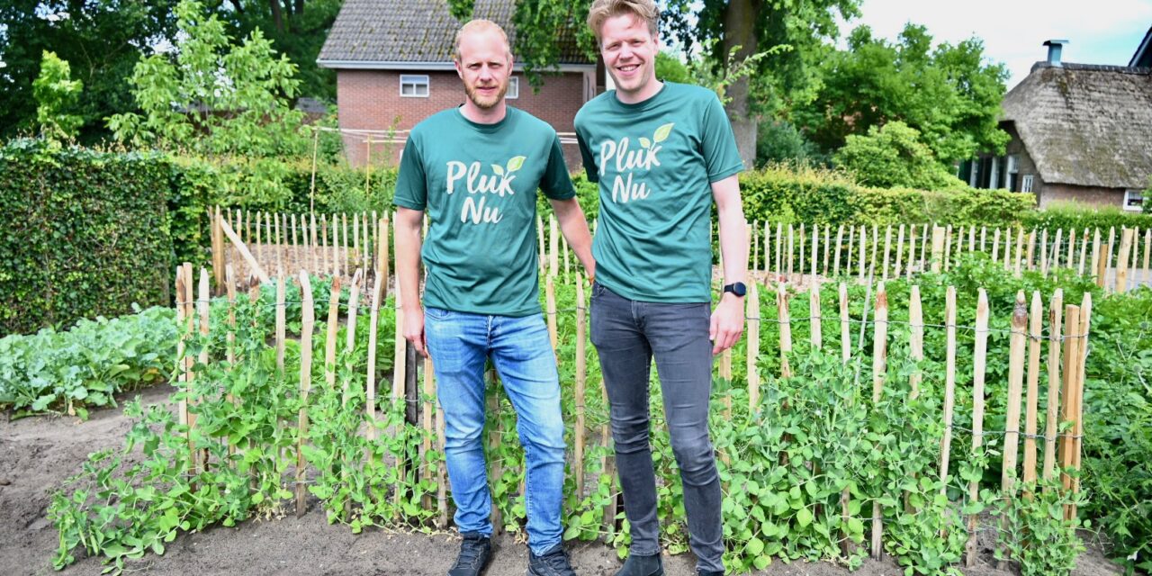 PlukNu: Staphorster broers starten platform voor lokale oogst
