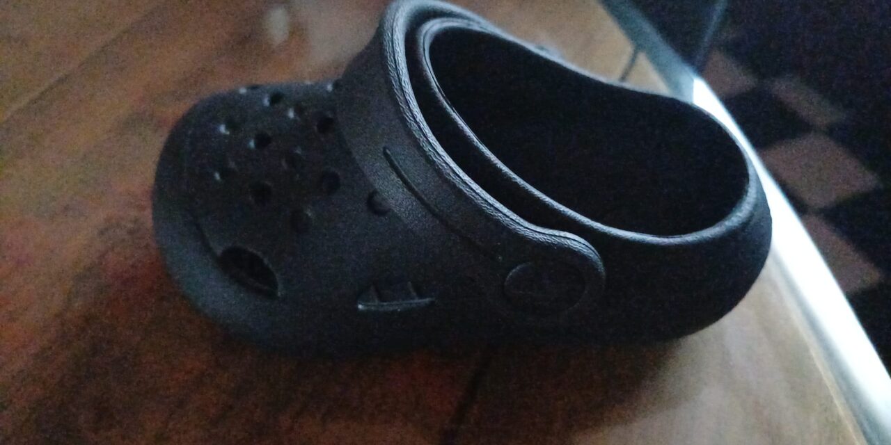 Mini croc gevonden
