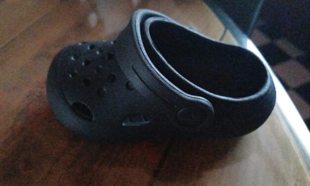 Mini croc gevonden