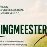Vereniging Weidevogelbescherming Staphorsterveld e.o. zoekt Penningmeester