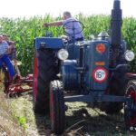 Rogge maaien…zoals vroeger