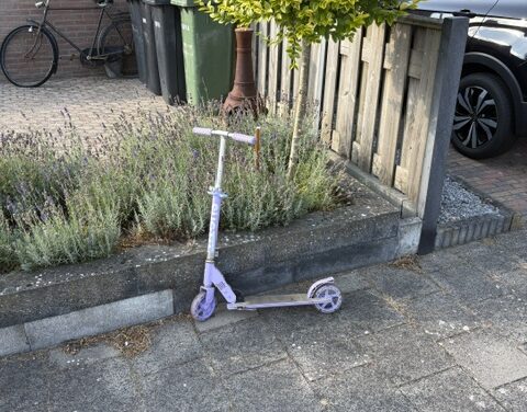 Paarse step zonder berijd(st)er