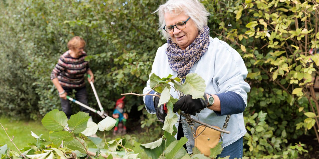 Subsidie voor lokale initiatieven