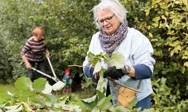 Subsidie voor lokale initiatieven