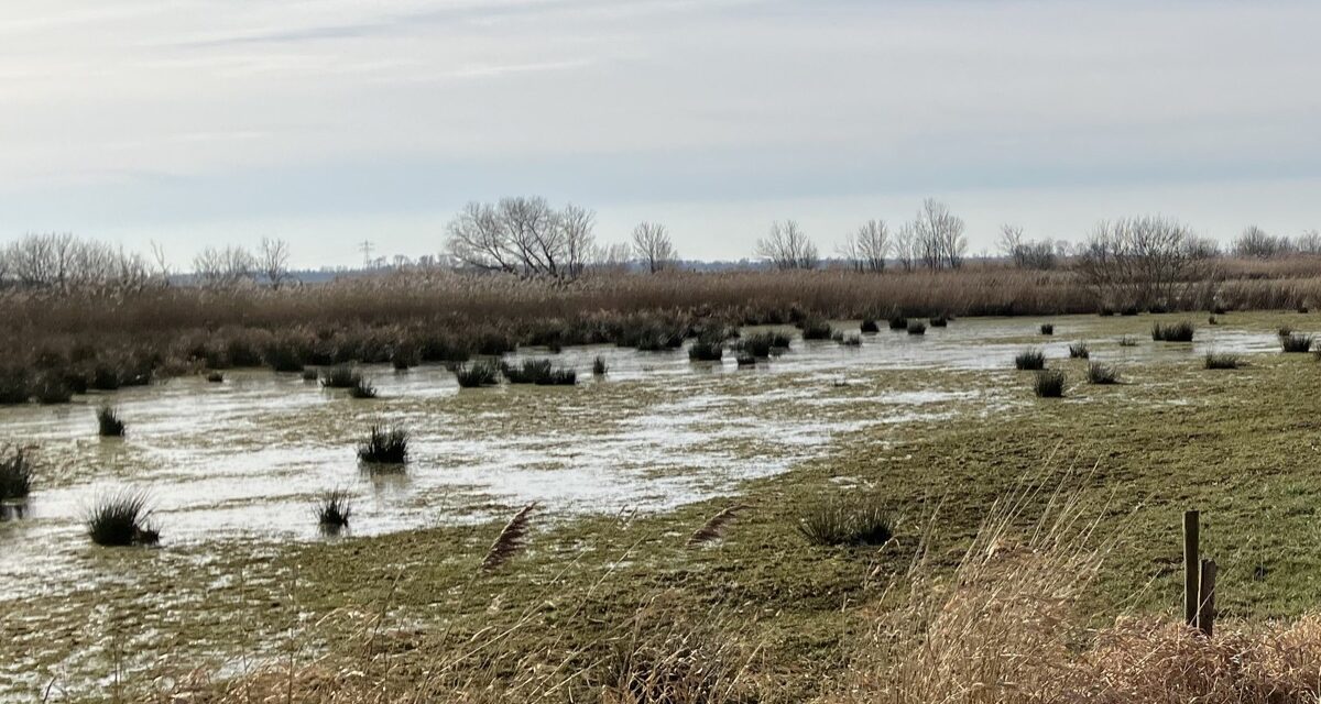 Aan de slag voor schoon water en sterke natuur langs het Meppelerdiep