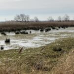 Aan de slag voor schoon water en sterke natuur langs het Meppelerdiep