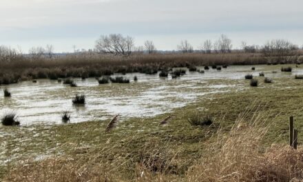 Aan de slag voor schoon water en sterke natuur langs het Meppelerdiep