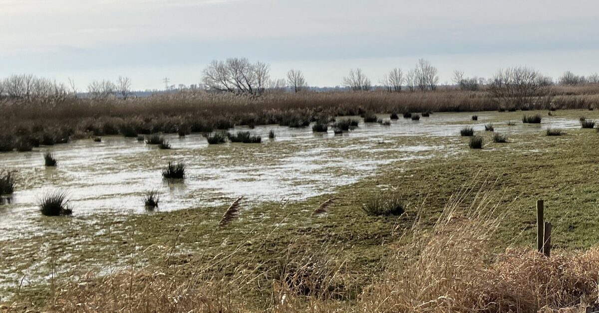 Aan de slag voor schoon water en sterke natuur langs het Meppelerdiep