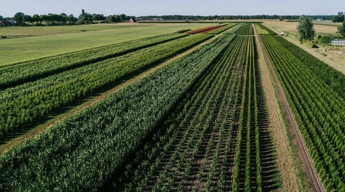 Kwekerij Plantium zoekt landbouwgrond