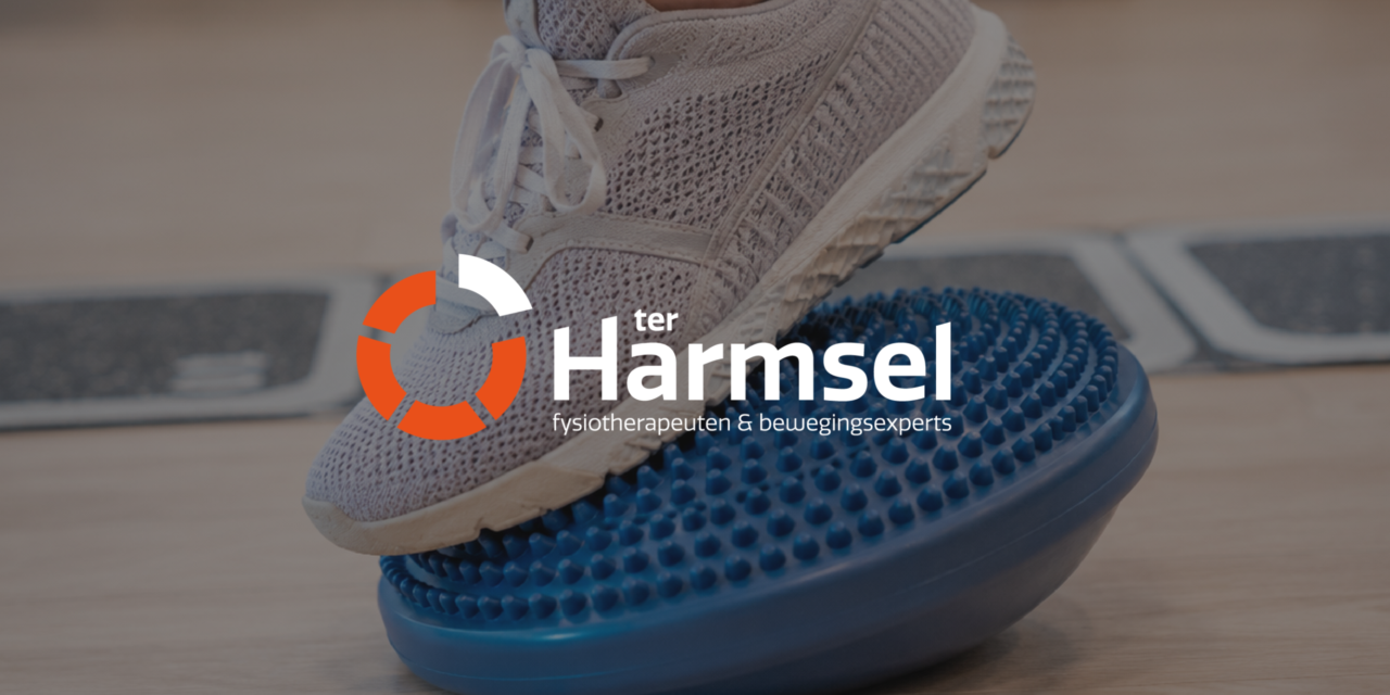 Blijf In Balans training bij Ter Harmsel fysiotherapie