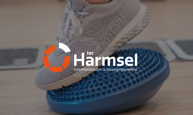 Blijf In Balans training bij Ter Harmsel fysiotherapie