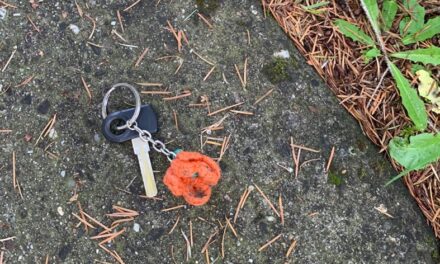 Fietssleutel gevonden