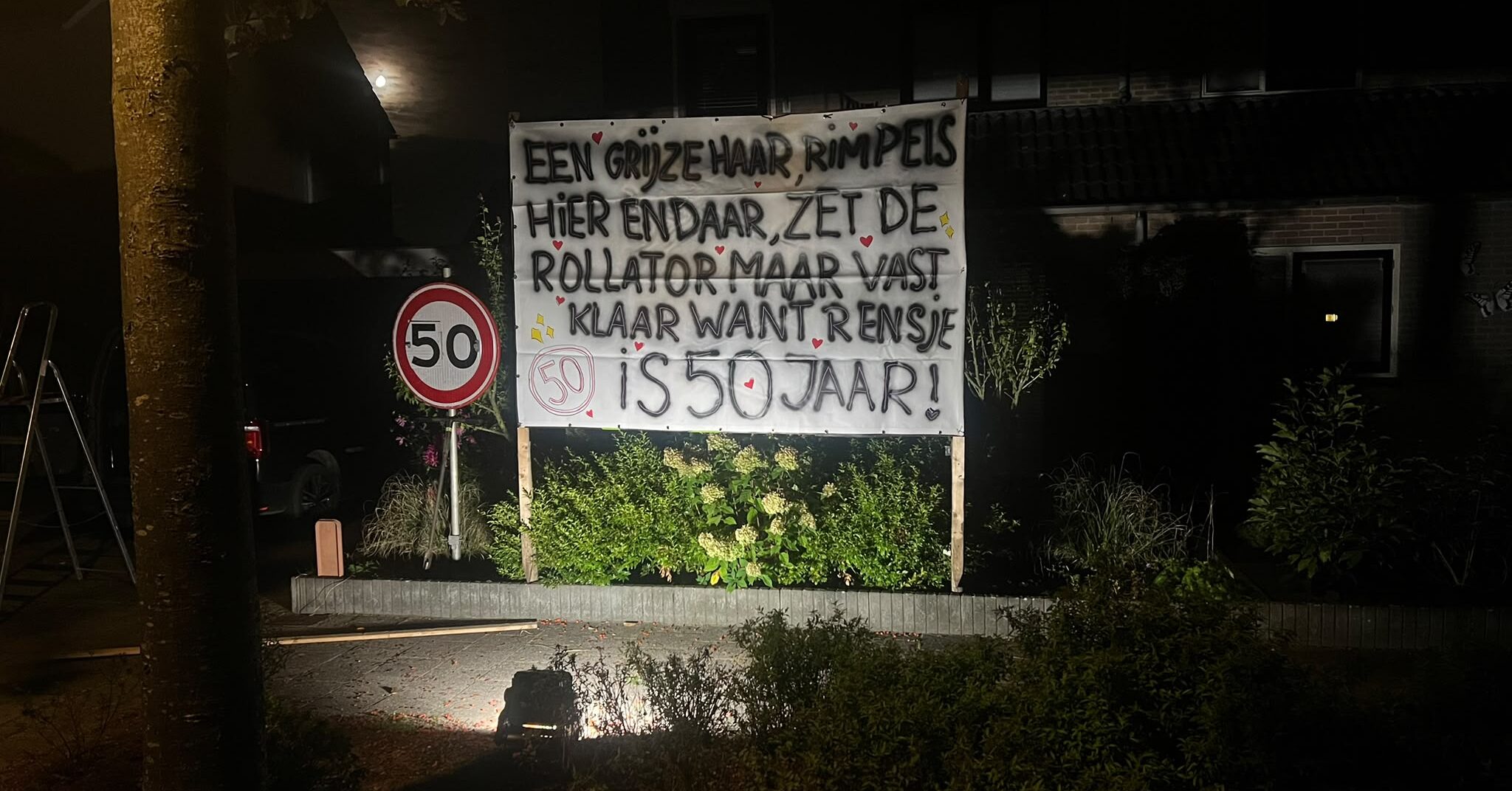 Rensje Meesters 50 jaar