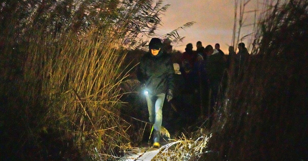 Hoofdrol voor vleermuis tijdens Nacht van de Nacht bij de Veldschuur