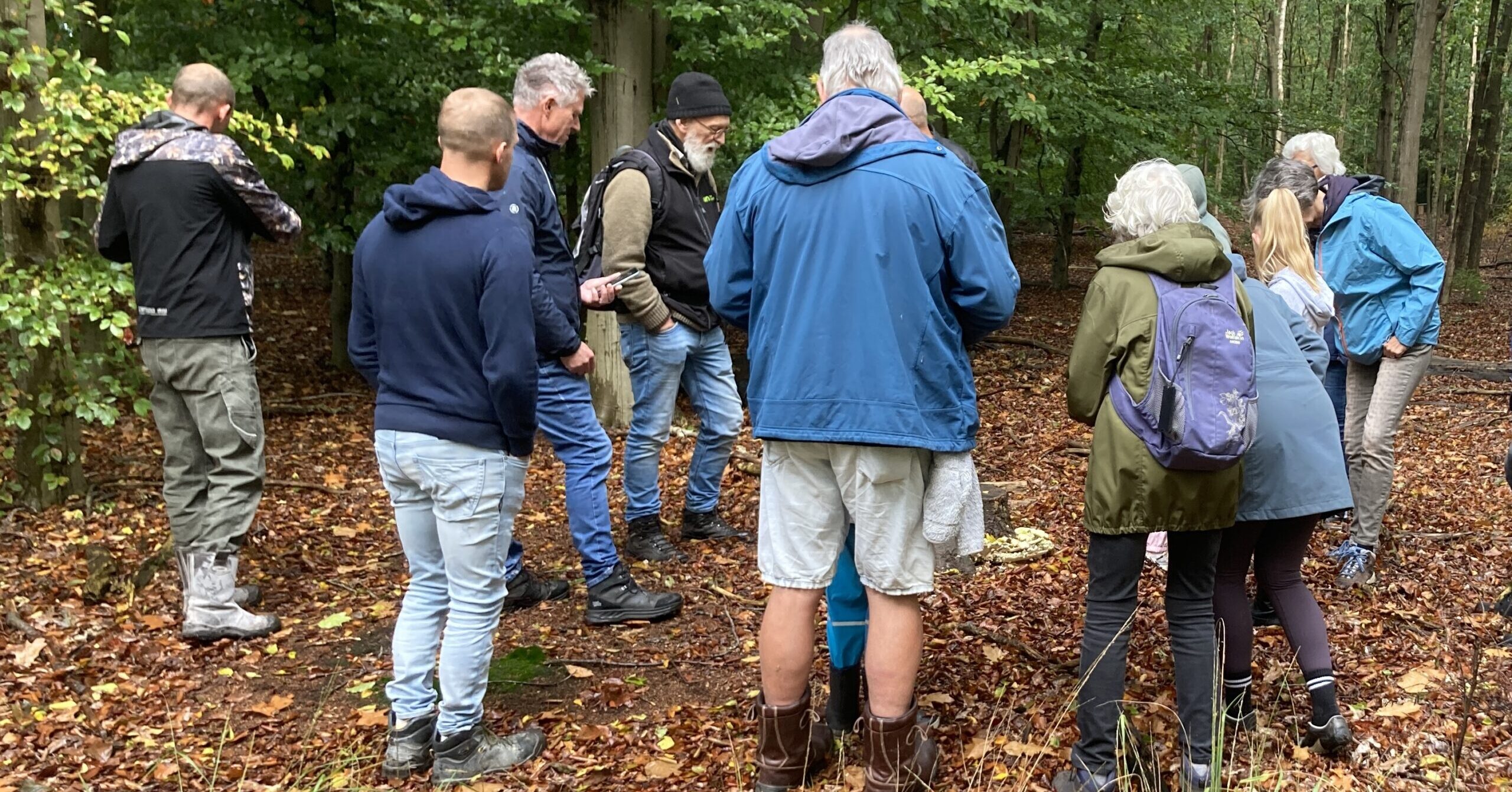 Geslaagde paddenstoelenwandeling met een ervaren IVN natuurgids in het Staphorster bos